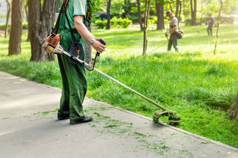 Lawn with Freshly Trimmed Edges