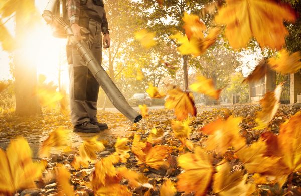 Leaf Blowing Service in Bremerton