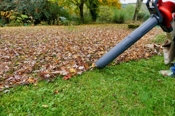Leaf Vacuuming Service in Bremerton