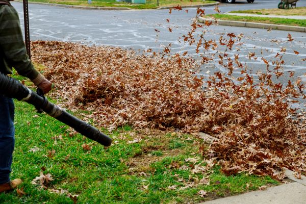 Garden Leaf Removal in Bremerton
