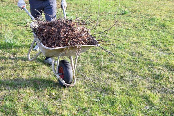 Yard Brush Removal in Bremerton