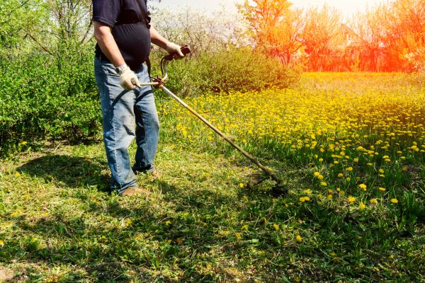 Yard Clearing Service in Bremerton