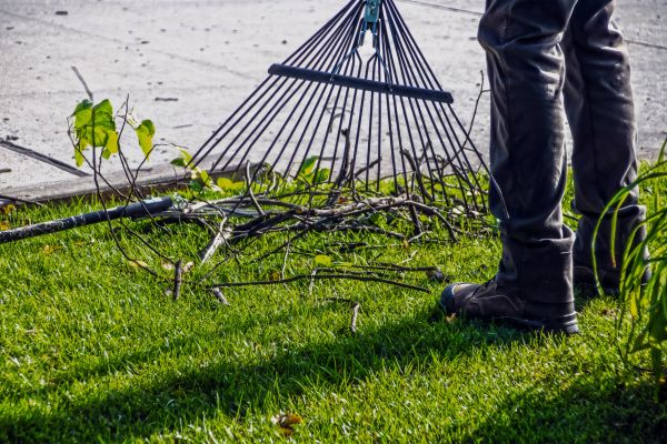 Yard Debris Cleanup in Bremerton