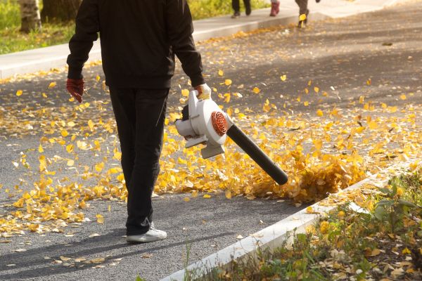 Commercial Leaf Removal in Bremerton